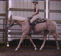 quarter horse filly for sale, Skips Bo Cleopatra